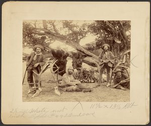 Lispenard Stewart Party, #6 - 5th Ave., N.Y. with Trophies by Old Cedar Tree, Mammoth Hot Springs, Yellowstone National Park