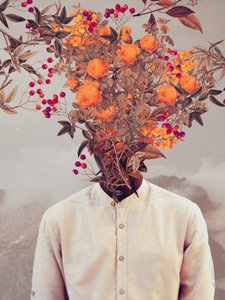 Bright Bloom by Frank Moth