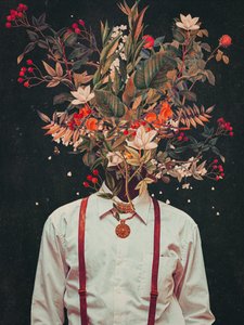 Foliage by Frank Moth