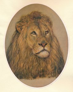 Lions Head by Frank Paton