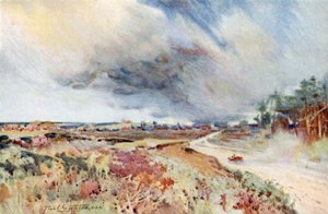 Heath near Sandringham by Frank Southgate