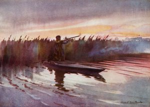 Norfolk Broads: Flight-Shooting