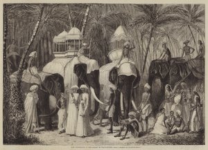 The Elephants of the Rajah of Travancore by Frank Vizetelly