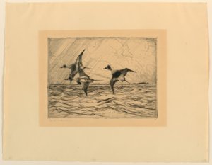 Iron Ducks by Frank Weston Benson