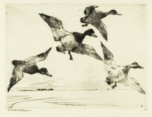 Redhead Ducks by Frank Weston Benson