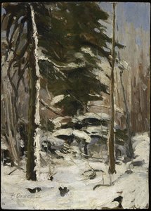 Edge of the Wood