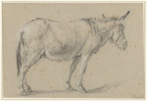Standing Donkey, Facing Right by François Boucher (possibly)