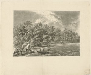 Tropical Landscape