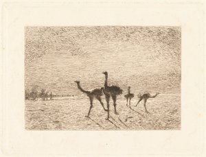 Ostriches in the Desert by François Nicolas Auguste Feyen Perrin