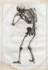 Engraving in 