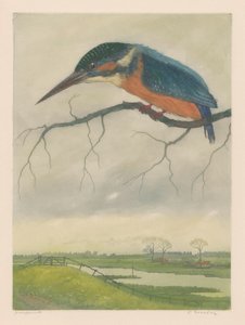 Kingfisher on a branch in a meadow landscape