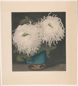 Two Chrysanthemums