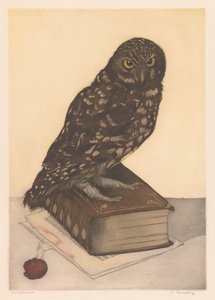 Owl Sitting on a Book