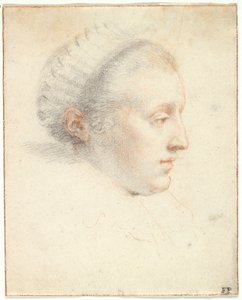 Profile Portrait of a Lady by Frans II Pourbus
