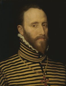 Portrait of a Knight of the Order of Calatrava by Frans I Pourbus