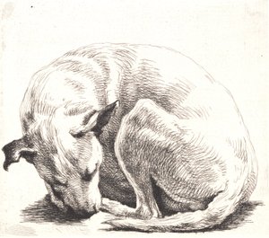 Test Plate: A Dog by Frans Schwartz
