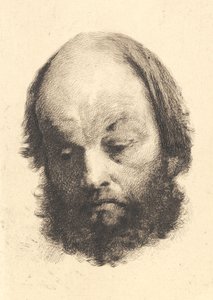 Black-bearded Man, Garibaldi by Frans Schwartz