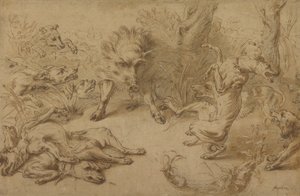 A Wild Boar at Bay by Frans Snijders