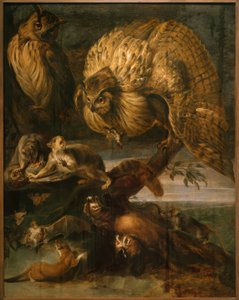 Animals of the Night