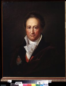 Portrait of the Author J.W. von Goethe