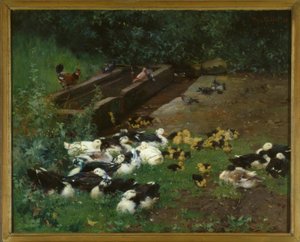Duck Families