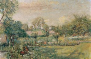 Garden in Summer