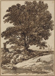 Seacoast with a Great Tree
