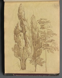 Album with Views of Rome and Surroundings, Landscape Studies, Page 15a: Trees