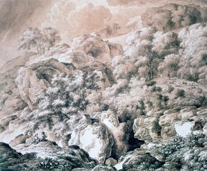 Forest Landscape