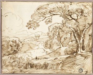 Panoramic Landscape