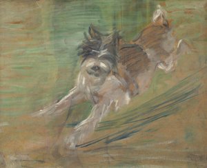 Jumping Dog 