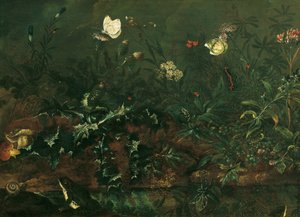 Grass Piece with Thistle, Frogs, and Dragonfly by Franz Michael Siegmund von Purgau d. Ä.