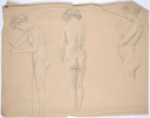 Study of a Pregnant Woman