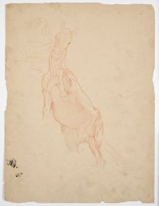 Studies of a Rising Horse by Franz von Matsch