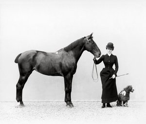 Portrait of Miss Walsh with a Horse and a Miniature Poodle at Villa di Montefonte, in the Poggio Imperiale Area of Florence by Fratelli Alinari Fratelli Alinari
