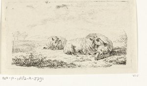 Three Sheep Lying in the Grass