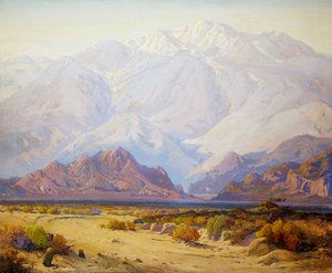 The Majestic Desert