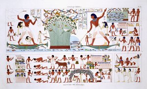 Preparing food for Dead, from a Rare Record of Frescoes from Thebes, recorded 1819-1822 on his second visit to Egypt by Frederic Cailliaud by Frederic (after) Cailliaud
