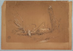 A Broken dead tree, 1855-65