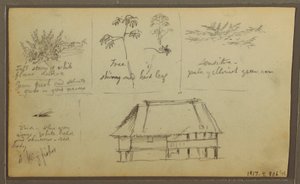 A Fort; Botanical Sketches, House, 1857 by Frederic Edwin Church