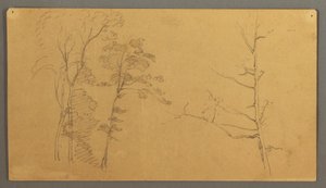 A Group of Trees with the Upper Part of a Dead Tree, 1866