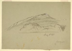 A Tree, Bavaria, August 8, 1868