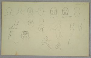 Anatomical Studies, 1865–70 by Frederic Edwin Church