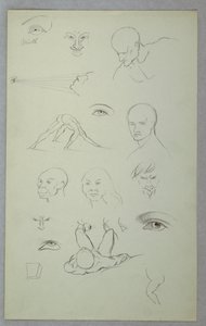 Anatomical Studies, 1865–70