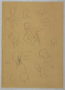 Anatomical Studies, 1865–70 by Frederic Edwin Church