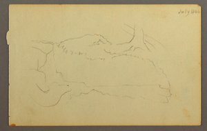 Base of a Tree, Boulders, 1844