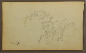 Botanical Sketches; Verso: Botanical Sketches, 1857 by Frederic Edwin Church
