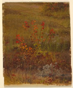 Botanical Studies, October 1865 by Frederic Edwin Church