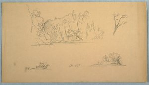 Botanical Sketches: Tree, Trees at Shore, September 1876 by Frederic Edwin Church
