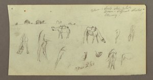 Camel Studies, March 2, 1868 by Frederic Edwin Church